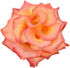 16_606844 (143x140, 41Kb)